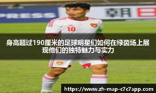 身高超过190厘米的足球明星们如何在绿茵场上展现他们的独特魅力与实力